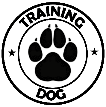 Logo Training Dog